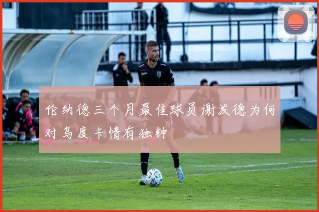 伦纳德三个月最佳球员谢泼德为何对乌度卡情有独钟