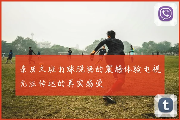 亲历文班打球现场的震撼体验电视无法传达的真实感受